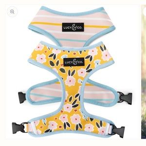 Lucy & Co Reversible Dog Harness in Spring Print XS